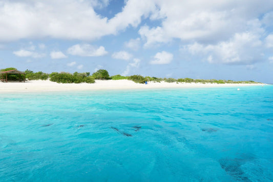 Bonaire, Sint Eustatius And Saba eSIM