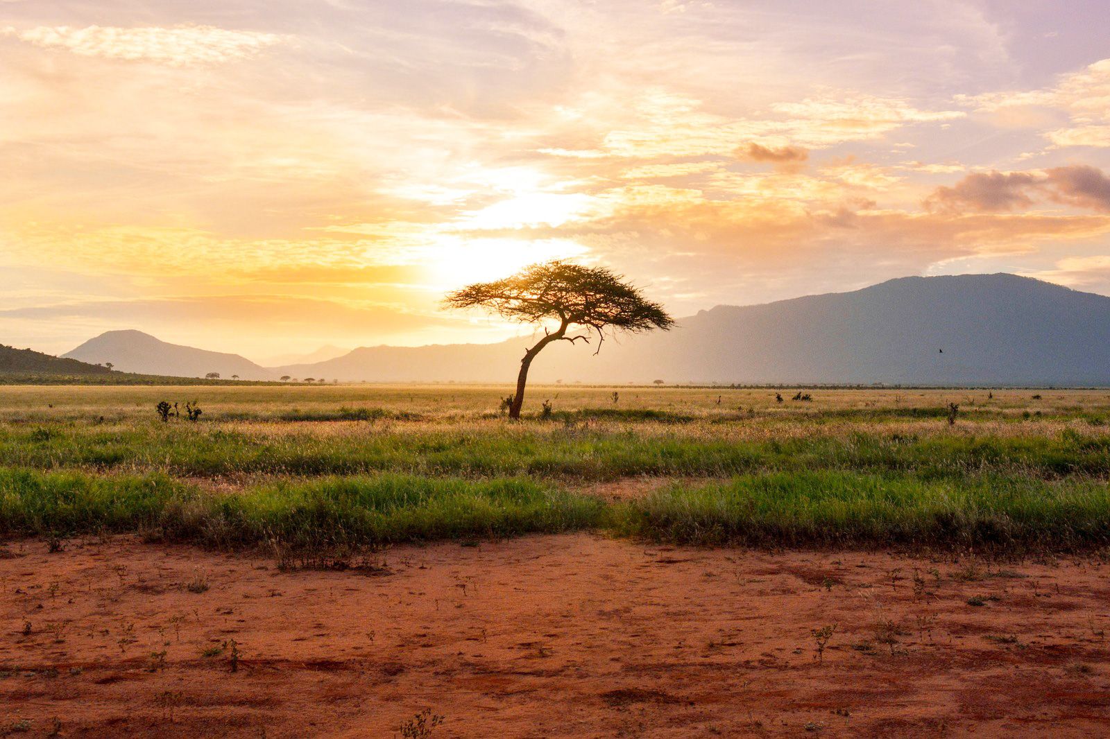Kenya eSIM
