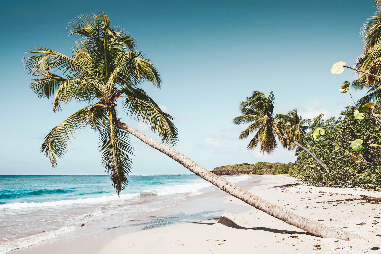 Martinique eSIM