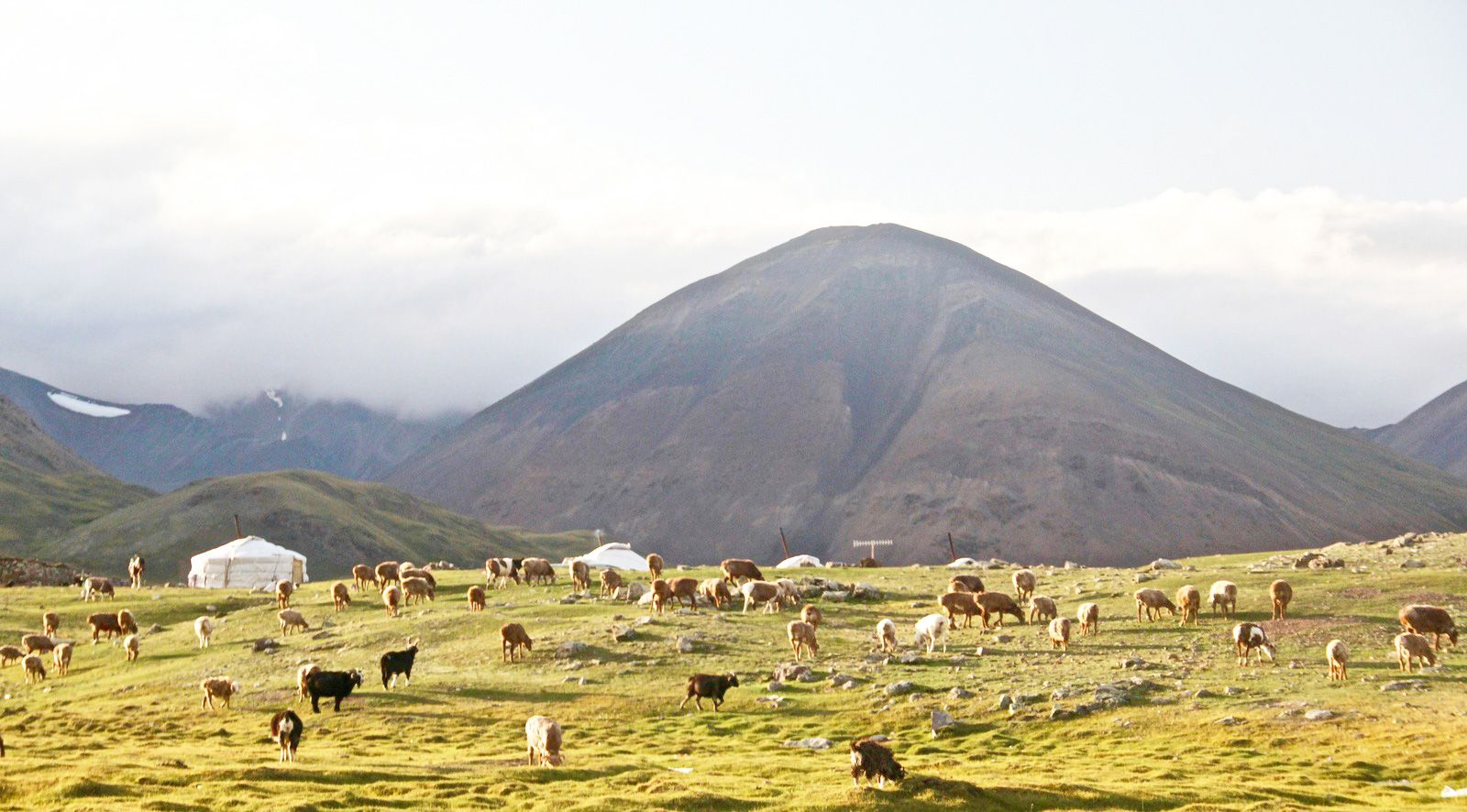 Mongolia eSIM