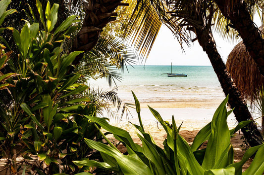 Mozambique eSIM