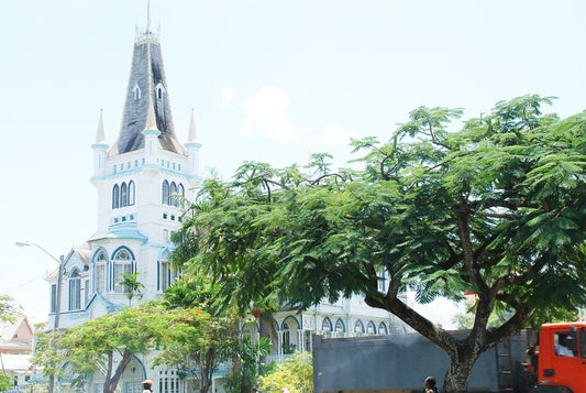 Guyana eSIM
